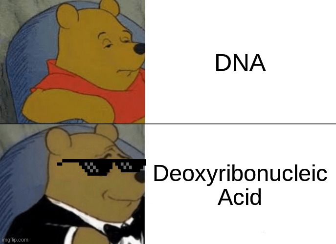 Damn Son! | DNA; Deoxyribonucleic Acid | image tagged in memes,tuxedo winnie the pooh | made w/ Imgflip meme maker