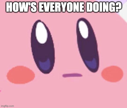 I was scared to even turn on my laptop because of the chance of a riot or a breakout | HOW'S EVERYONE DOING? | image tagged in blank kirby face | made w/ Imgflip meme maker