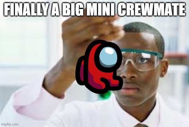 FINALLY | FINALLY A BIG MINI CREWMATE | image tagged in finally | made w/ Imgflip meme maker