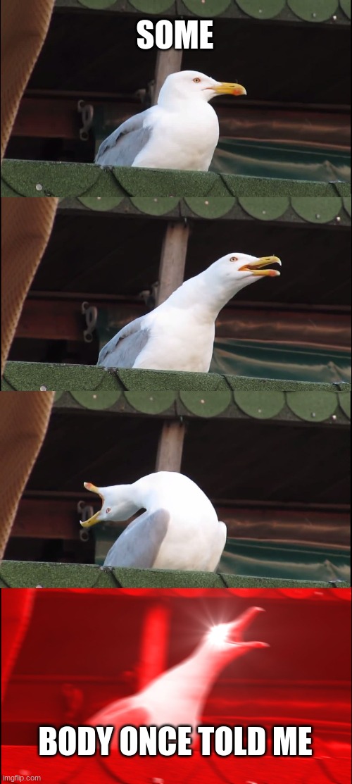 someBODY ONCE | SOME; BODY ONCE TOLD ME | image tagged in memes,inhaling seagull | made w/ Imgflip meme maker