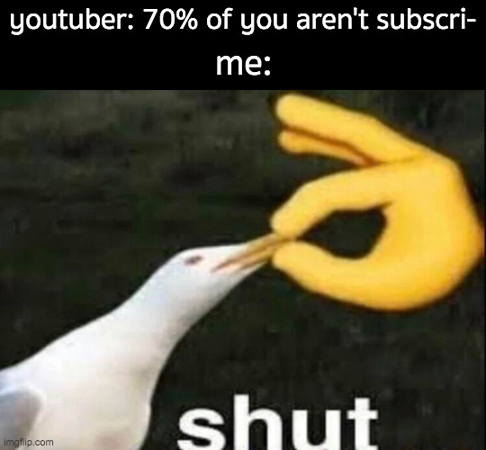 CAN YOU SHUT UP AND START THE VIDEO PLEASE | youtuber: 70% of you aren't subscri-; me: | image tagged in shut,youtube,youtuber,memes | made w/ Imgflip meme maker