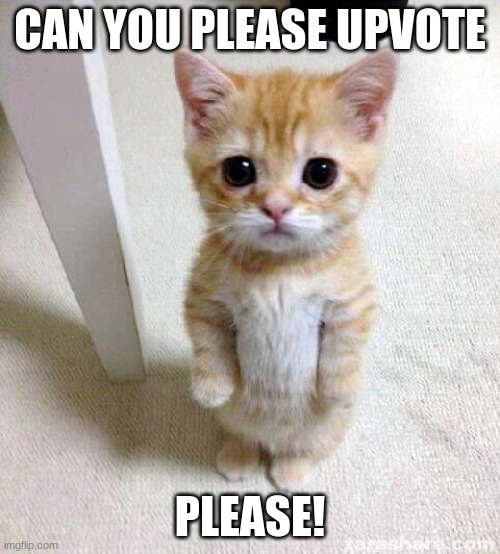 Cute Cat | CAN YOU PLEASE UPVOTE; PLEASE! | image tagged in memes,cute cat,FreeKarma4U | made w/ Imgflip meme maker