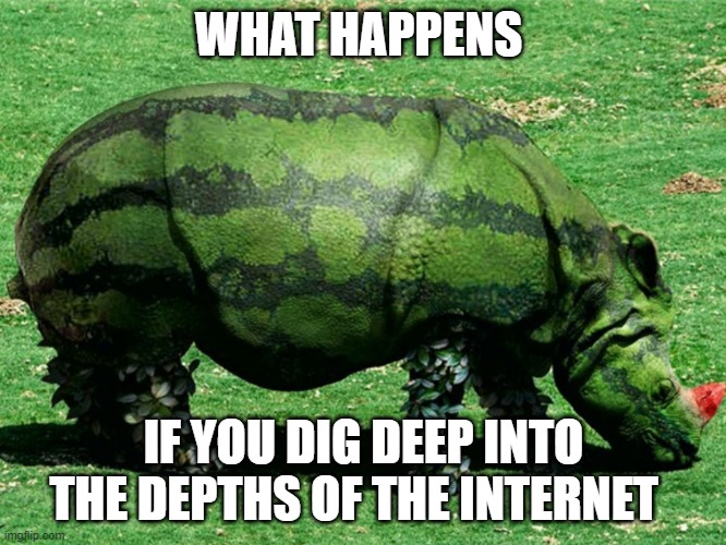 WHAT THE FRIK #2 | WHAT HAPPENS; IF YOU DIG DEEP INTO THE DEPTHS OF THE INTERNET | image tagged in what | made w/ Imgflip meme maker
