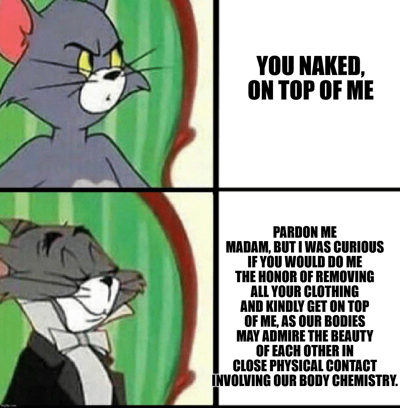 Fancy Tom Cat Memes - Imgflip
