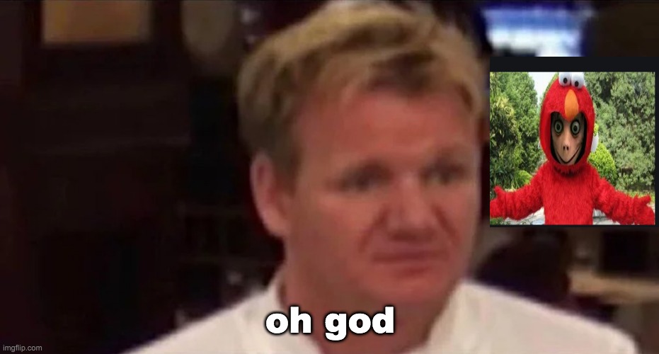 wtf | oh god | image tagged in disgusted gordon ramsay | made w/ Imgflip meme maker