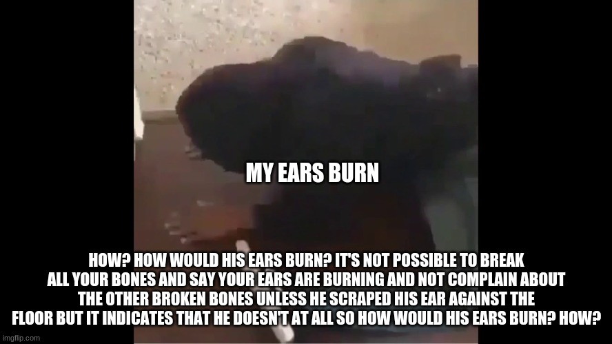 how? | MY EARS BURN; HOW? HOW WOULD HIS EARS BURN? IT'S NOT POSSIBLE TO BREAK ALL YOUR BONES AND SAY YOUR EARS ARE BURNING AND NOT COMPLAIN ABOUT THE OTHER BROKEN BONES UNLESS HE SCRAPED HIS EAR AGAINST THE FLOOR BUT IT INDICATES THAT HE DOESN'T AT ALL SO HOW WOULD HIS EARS BURN? HOW? | image tagged in memes | made w/ Imgflip meme maker
