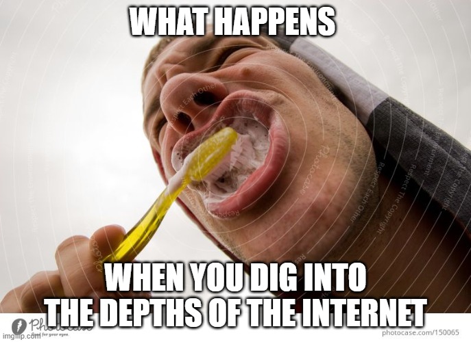 WHAT THE FRIK #3 | WHAT HAPPENS; WHEN YOU DIG INTO THE DEPTHS OF THE INTERNET | image tagged in what | made w/ Imgflip meme maker