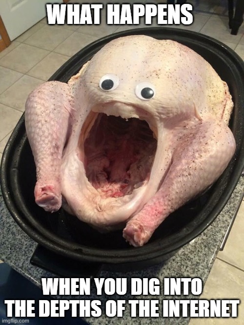 WHAT THE FRIK #4 | WHAT HAPPENS; WHEN YOU DIG INTO THE DEPTHS OF THE INTERNET | image tagged in what | made w/ Imgflip meme maker