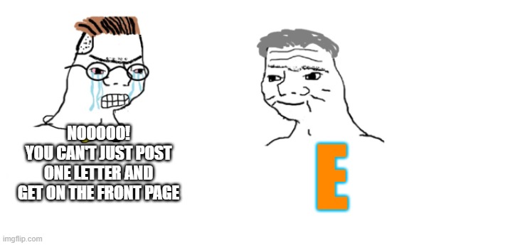 E | NOOOOO!
YOU CAN'T JUST POST ONE LETTER AND GET ON THE FRONT PAGE; E | image tagged in nooo haha go brrr | made w/ Imgflip meme maker