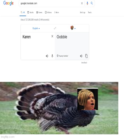Turkey karen | image tagged in blank white template | made w/ Imgflip meme maker