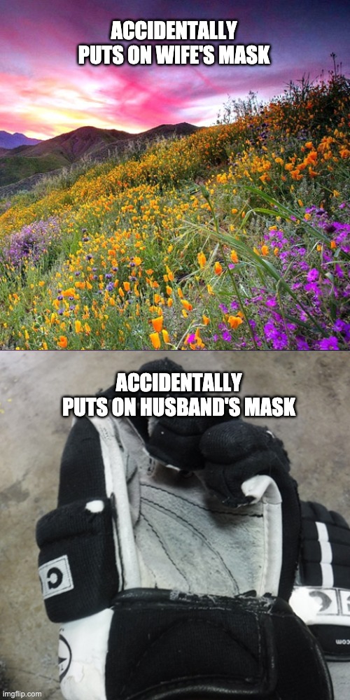 Whoops, not my mask | ACCIDENTALLY PUTS ON WIFE'S MASK; ACCIDENTALLY PUTS ON HUSBAND'S MASK | image tagged in smelly mask,husband,wife,covid-19,covid19,covid | made w/ Imgflip meme maker