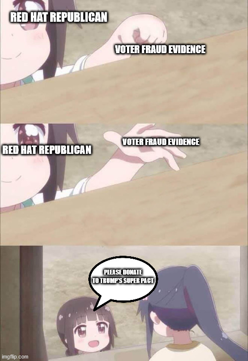 RED HAT REPUBLICAN VOTER FRAUD EVIDENCE RED HAT REPUBLICAN VOTER FRAUD EVIDENCE PLEASE DONATE TO TRUMP'S SUPER PACT | made w/ Imgflip meme maker