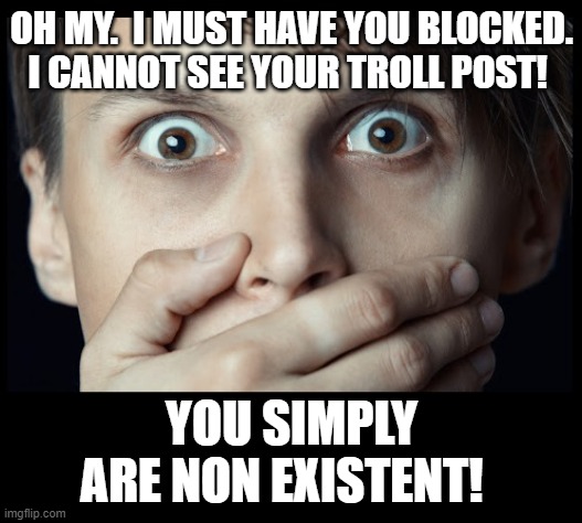oh my | OH MY.  I MUST HAVE YOU BLOCKED.  I CANNOT SEE YOUR TROLL POST! YOU SIMPLY ARE NON EXISTENT! | image tagged in oh my | made w/ Imgflip meme maker