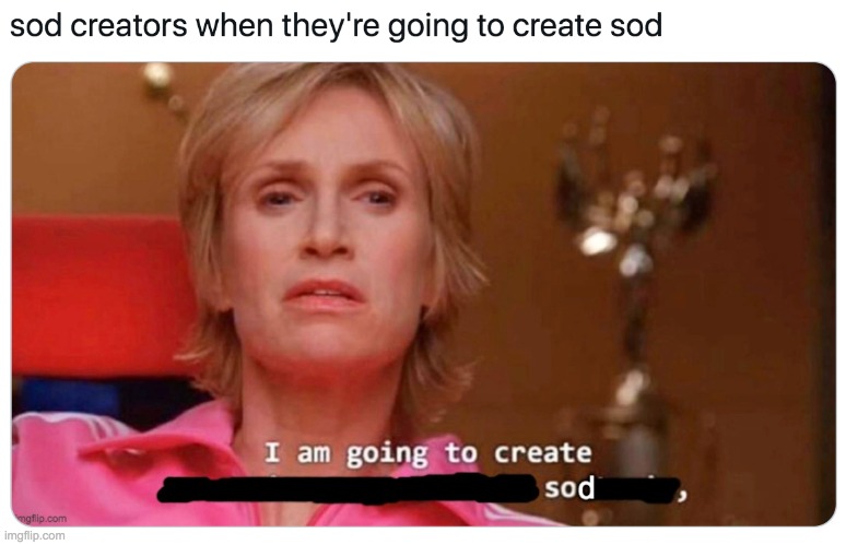 image tagged in sue sylvester | made w/ Imgflip meme maker
