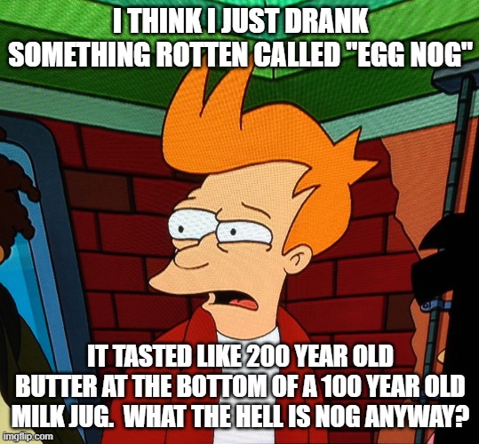 blech | I THINK I JUST DRANK SOMETHING ROTTEN CALLED "EGG NOG"; IT TASTED LIKE 200 YEAR OLD BUTTER AT THE BOTTOM OF A 100 YEAR OLD MILK JUG.  WHAT THE HELL IS NOG ANYWAY? | image tagged in fry grossed out | made w/ Imgflip meme maker