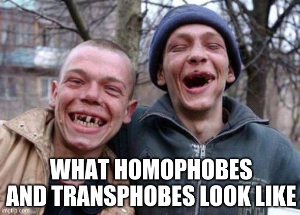 Ugly Twins | WHAT HOMOPHOBES AND TRANSPHOBES LOOK LIKE | image tagged in memes,ugly twins | made w/ Imgflip meme maker