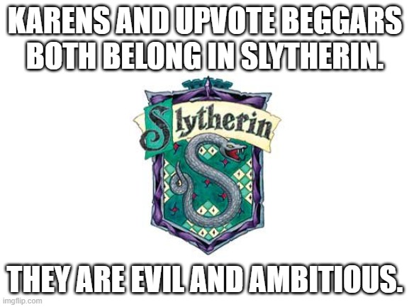 Blank White Template | KARENS AND UPVOTE BEGGARS BOTH BELONG IN SLYTHERIN. THEY ARE EVIL AND AMBITIOUS. | image tagged in blank white template | made w/ Imgflip meme maker