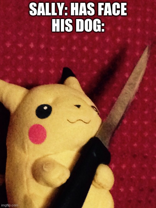 Sally: NOT THE FACE! | SALLY: HAS FACE
HIS DOG: | image tagged in pikachu learned stab | made w/ Imgflip meme maker