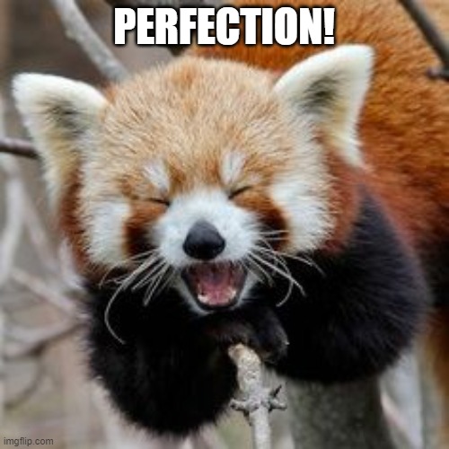 Rofl Red Panda | PERFECTION! | image tagged in rofl red panda | made w/ Imgflip meme maker