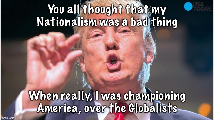Donald Trump small brain | You all thought that my Nationalism was a bad thing; When really, I was championing America, over the Globalists | image tagged in donald trump small brain | made w/ Imgflip meme maker