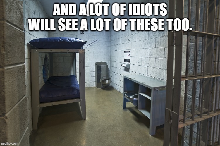 Jail cell | AND A LOT OF IDIOTS WILL SEE A LOT OF THESE TOO. | image tagged in jail cell | made w/ Imgflip meme maker