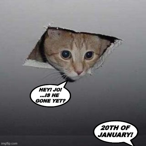 ??? | HEY! JO!
...IS HE 
GONE YET? 20TH OF
JANUARY! | image tagged in memes,ceiling cat,trump,biden,funny,usa | made w/ Imgflip meme maker