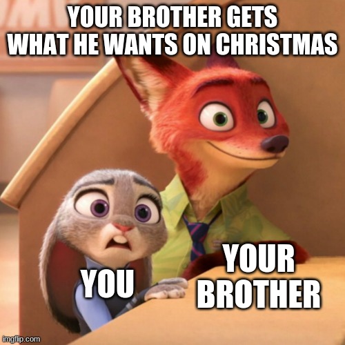 Nick Wilde smile Judy Hopps frown | YOUR BROTHER GETS WHAT HE WANTS ON CHRISTMAS; YOUR BROTHER; YOU | image tagged in nick wilde smile judy hopps frown | made w/ Imgflip meme maker