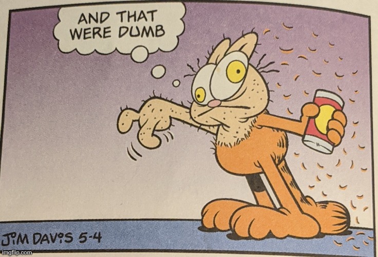 Garfield and that were dumb | image tagged in garfield and that were dumb,custom template,garfield | made w/ Imgflip meme maker