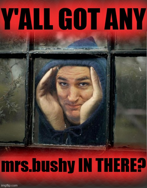 Peeping Ted Cruz | Y'ALL GOT ANY; mrs.bushy IN THERE? | image tagged in peeping ted cruz | made w/ Imgflip meme maker