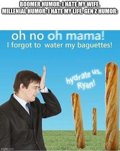 Dry Baguettes. | BOOMER HUMOR: I HATE MY WIFE. MILLENIAL HUMOR: I HATE MY LIFE. GEN Z HUMOR: | image tagged in dry baguettes | made w/ Imgflip meme maker