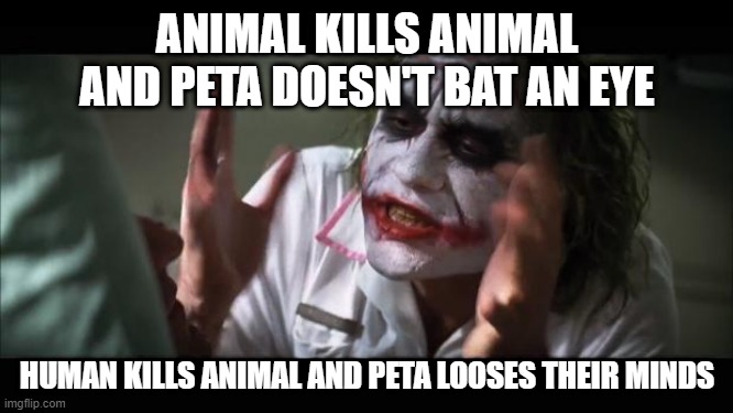 And everybody loses their minds | ANIMAL KILLS ANIMAL AND PETA DOESN'T BAT AN EYE; HUMAN KILLS ANIMAL AND PETA LOOSES THEIR MINDS | image tagged in memes,and everybody loses their minds | made w/ Imgflip meme maker