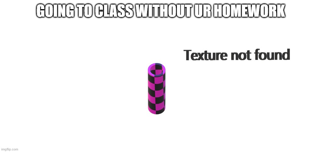 Texture not found | GOING TO CLASS WITHOUT UR HOMEWORK | image tagged in texture not found | made w/ Imgflip meme maker