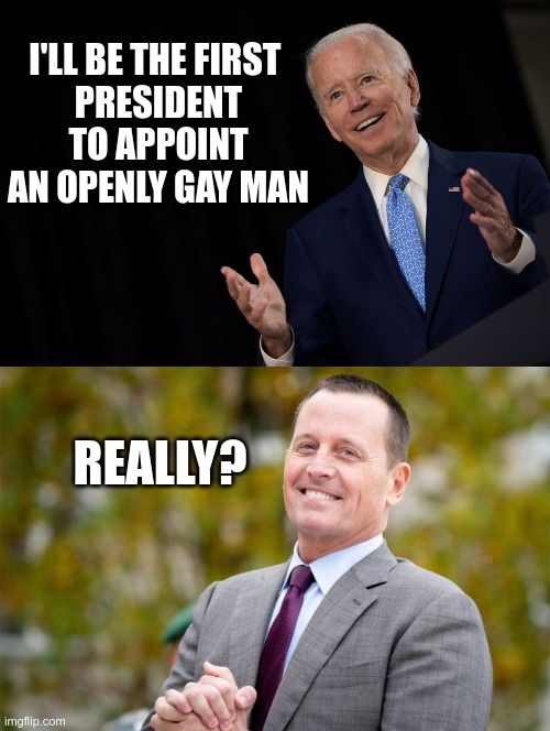 MSM Says (like Simon says only not) | I'LL BE THE FIRST 
PRESIDENT TO APPOINT
AN OPENLY GAY MAN; REALLY? | image tagged in joe the con biden | made w/ Imgflip meme maker