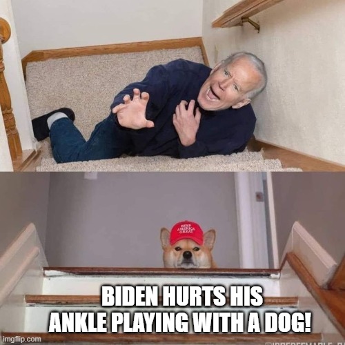 Good Dog! | BIDEN HURTS HIS ANKLE PLAYING WITH A DOG! | image tagged in biden | made w/ Imgflip meme maker