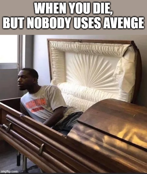 Not on Level 9 friendship yet? |  WHEN YOU DIE, BUT NOBODY USES AVENGE | image tagged in coffin | made w/ Imgflip meme maker