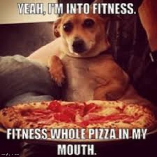ee err | image tagged in dog,fitness is my passion | made w/ Imgflip meme maker