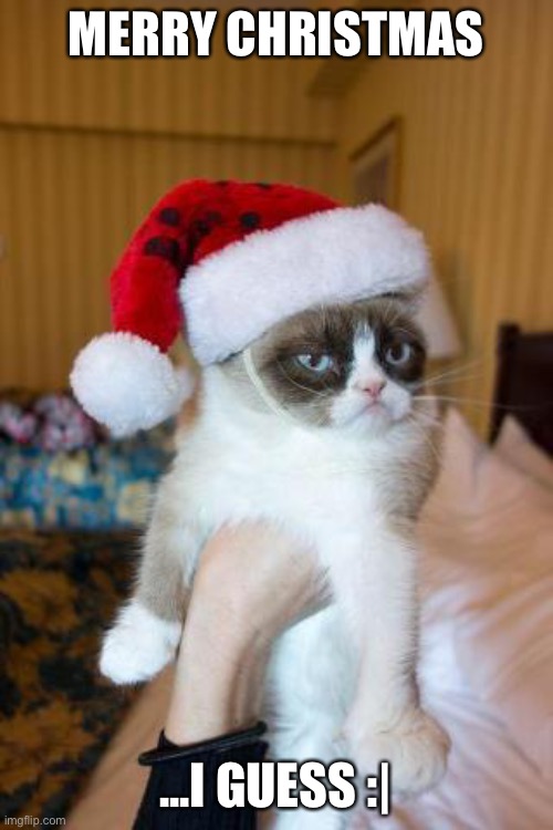 Grumpy Cat Christmas | MERRY CHRISTMAS; ...I GUESS :| | image tagged in memes,grumpy cat christmas,grumpy cat | made w/ Imgflip meme maker