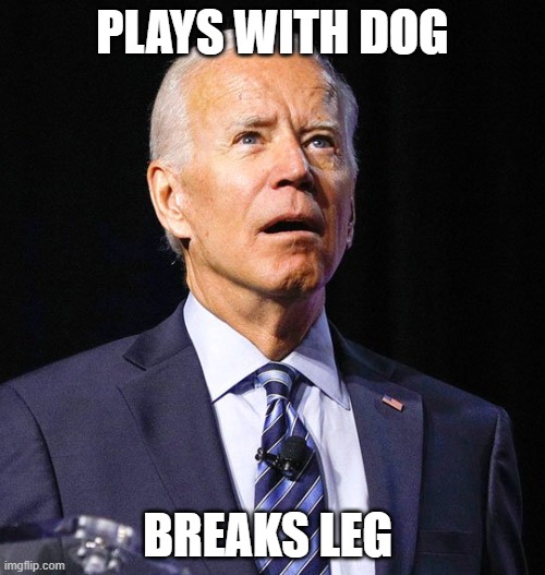 "Bad Luck Biden" | PLAYS WITH DOG; BREAKS LEG | image tagged in joe biden,trump,biden,election fraud,election 2020 | made w/ Imgflip meme maker