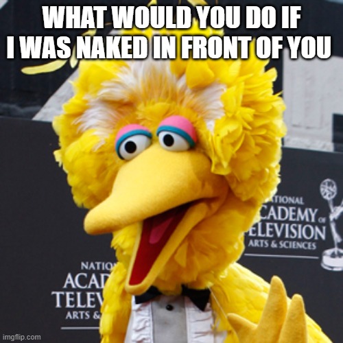 Big Bird Meme | WHAT WOULD YOU DO IF I WAS NAKED IN FRONT OF YOU | image tagged in memes,big bird | made w/ Imgflip meme maker