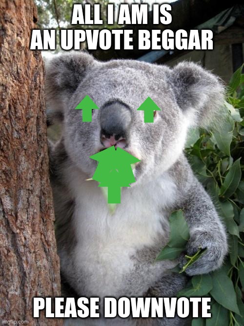 Please downvote me for downvoting | ALL I AM IS AN UPVOTE BEGGAR; PLEASE DOWNVOTE | image tagged in memes,surprised koala | made w/ Imgflip meme maker