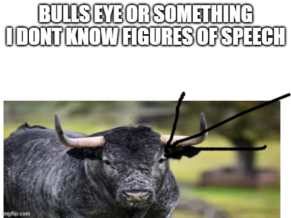 bulls eye |  BULLS EYE OR SOMETHING I DONT KNOW FIGURES OF SPEECH | image tagged in bull | made w/ Imgflip meme maker