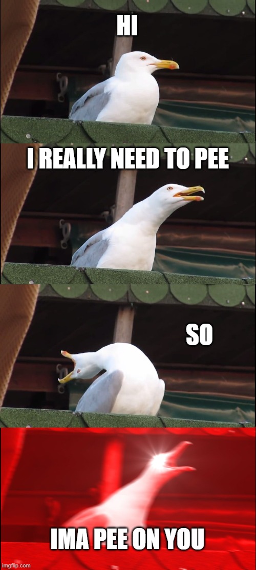 I NEED TO PEE | HI; I REALLY NEED TO PEE; SO; IMA PEE ON YOU | image tagged in memes,inhaling seagull,i need to pee | made w/ Imgflip meme maker
