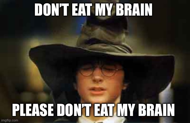 Harry Potter sorting hat | DON’T EAT MY BRAIN; PLEASE DON’T EAT MY BRAIN | image tagged in harry potter sorting hat | made w/ Imgflip meme maker