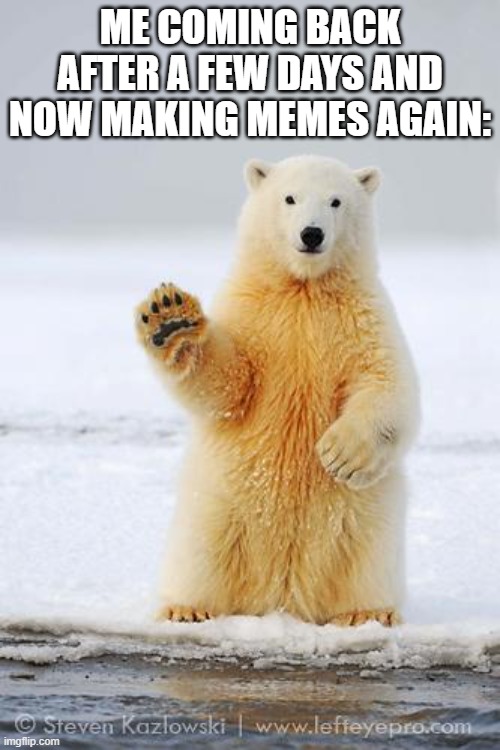 hello polar bear | ME COMING BACK AFTER A FEW DAYS AND NOW MAKING MEMES AGAIN: | image tagged in hello polar bear,im back,imgflip is no longer safe,run away,memes,you're trapped now | made w/ Imgflip meme maker