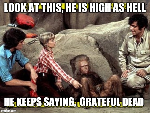 Chaka | LOOK AT THIS, HE IS HIGH AS HELL; HE KEEPS SAYING,  GRATEFUL DEAD | image tagged in grateful dead | made w/ Imgflip meme maker