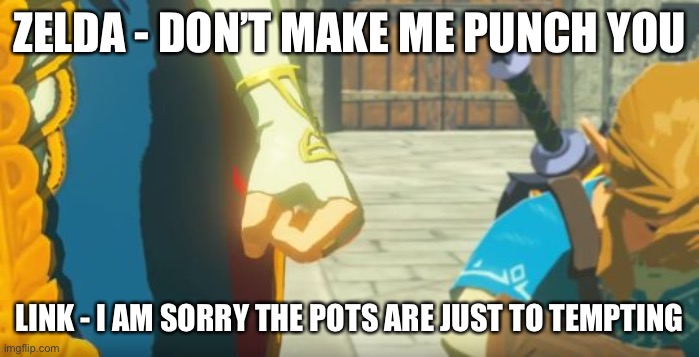 Zelda getting mad about pots | ZELDA - DON’T MAKE ME PUNCH YOU; LINK - I AM SORRY THE POTS ARE JUST TO TEMPTING | image tagged in zelda mad | made w/ Imgflip meme maker