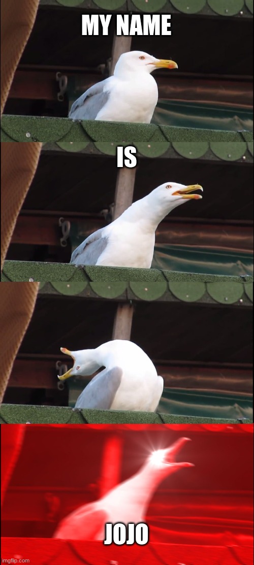 Inhaling Seagull | MY NAME; IS; JOJO | image tagged in memes,inhaling seagull | made w/ Imgflip meme maker