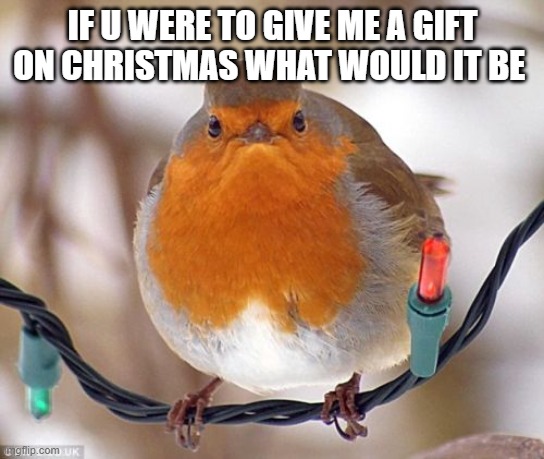 Bah Humbug Meme | IF U WERE TO GIVE ME A GIFT ON CHRISTMAS WHAT WOULD IT BE | image tagged in memes,bah humbug | made w/ Imgflip meme maker