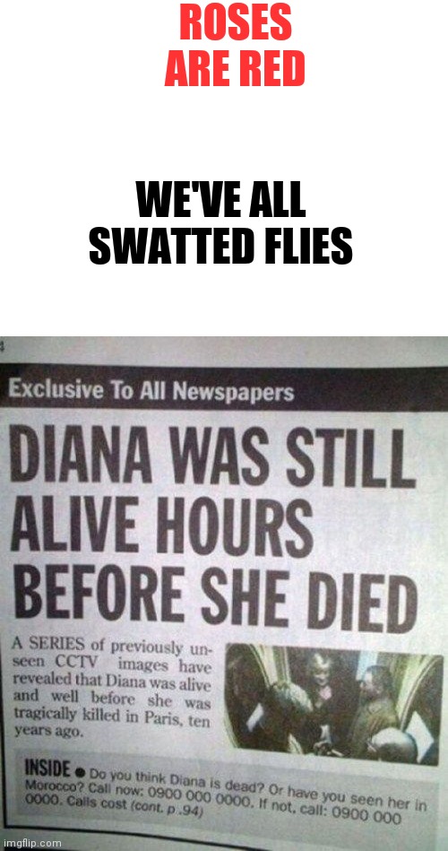 Roses are red | ROSES ARE RED; WE'VE ALL SWATTED FLIES | image tagged in blank white template,roses are red | made w/ Imgflip meme maker