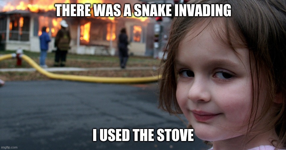 The snake.. | THERE WAS A SNAKE INVADING; I USED THE STOVE | image tagged in you dont say | made w/ Imgflip meme maker